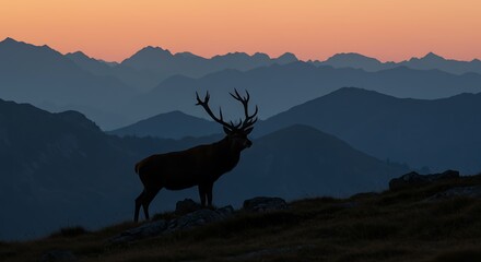 Naklejka premium Majestic Stag Silhouette Against a Dramatic Mountain Sunset Sky