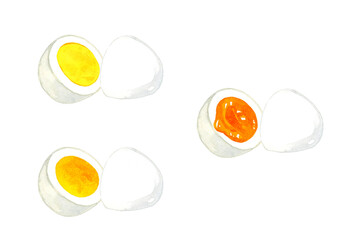 半分に切ったゆで卵のセット　卵料理の手描き水彩イラスト素材