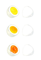 半分に切ったゆで卵のセット　卵料理の手描き水彩イラスト素材