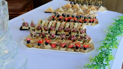 Elegant canapes featuring colorful meat, vegetable, and fruit toppings arranged artfully on pristine white surface, showcasing gourmet appetizer presentation