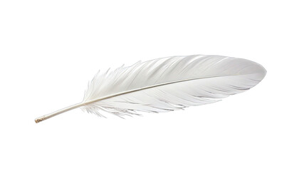 Obraz premium Single white feather, sharply focused against black background