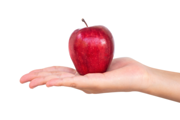 red apple in hand on white background