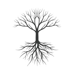 Obraz premium Detailed illustration of a bare tree with extensive root system below