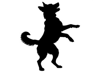 A captivating silhouette of a dog in a playful, upward stance.