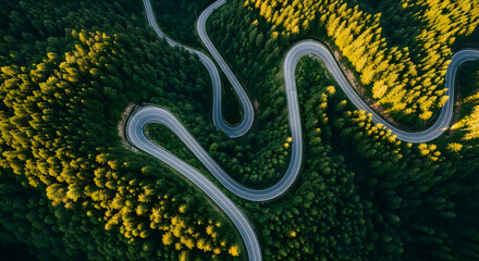 Aerial View of a Winding Mountain Road through a Dense Forest
