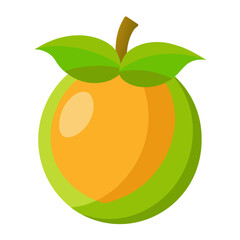 cempedak-fruit-on-white-background