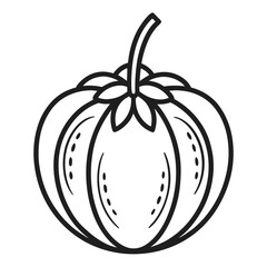 charichuelo fruit isolated line art on white