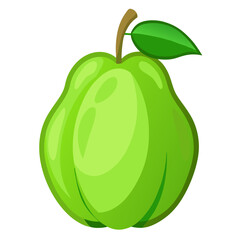 chayote fruit on white background