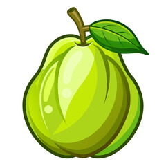 chayote fruit on white background