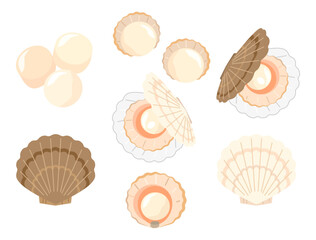 ほたて貝のイラストのセット
