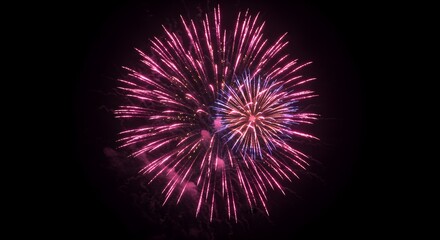 Obraz premium Fireworks display at night