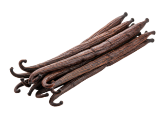 Isolated vanilla bean pods aromatic ingredient for dessert culinary baking flavoring cooking