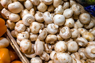 Fresh mushrooms fill a market display as shoppers prepare for meals and cooking adventures in a vibrant grocery environment