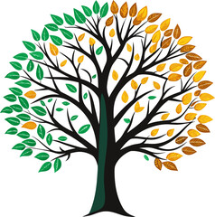 Obraz premium Tree with half green, half autumn-colored leaves. vector line art icon black and white , white background
