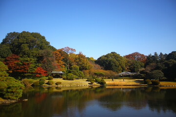 Obraz premium Japanese garden Japan