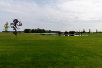 Calm Pond in a Broad Green Field