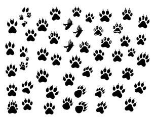A black and white pattern of various animal paw prints, some with distinct claw marks, scattered across a plain white background.