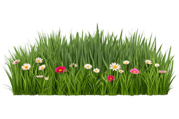 Fototapeta premium Vibrant green grass with colorful daisies. Perfect for spring themes.