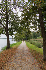 A person walking along a path by a lake