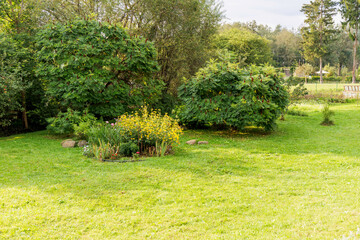 Obraz premium The Vibrant Green Garden