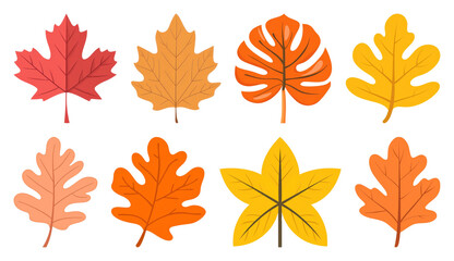 Obraz premium PNG Colorful autumn leaves illustration, element set on transparent background