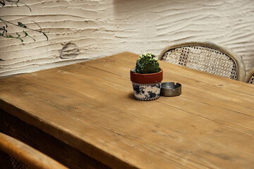potted flower and ashtray on wooden table 
