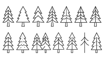 Various Line Art Illustrations of Pine Trees