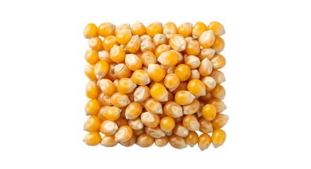 corn on white background