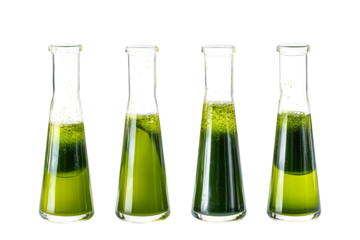 Four laboratory flasks with green liquid isolated on transparent background
