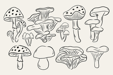 Hand draw autumn mushrooms collection