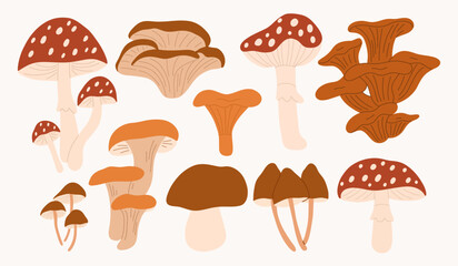 Hand draw autumn mushrooms collection