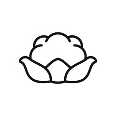 Cauliflower icon in line style for organic, vegetarian, and kitchen visuals.