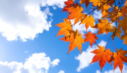 Vibrant Autumn Maple Leaves Against a Sunny Blue Sky