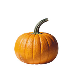 High definition pumpkin isolated on a white background (transparent) -pumpkin