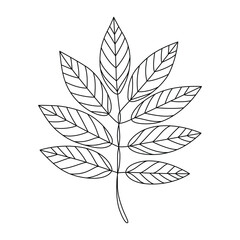 Elegant Black and White Leaf Illustration Botanical Design Element Minimalist Style for Nature Inspired Projects and Creative Designs