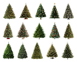 PNG Festive variety of Christmas trees, element set on transparent background