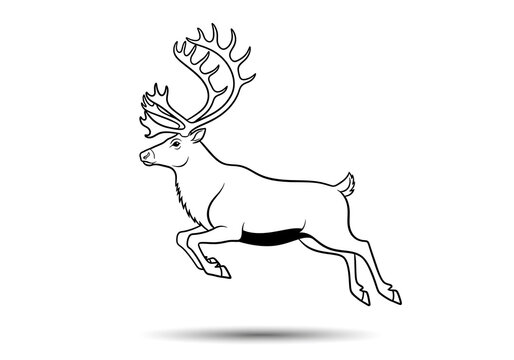 A majestic reindeer with impressive antlers captured mid leap in a dynamic hand drawn sketch against a stark white background