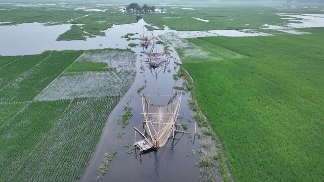 Scenic View of Triangular Fish Net in Green Water Canal &ndash; Rural Asia, Traditional Fishing Nets in Canal Near Wetland