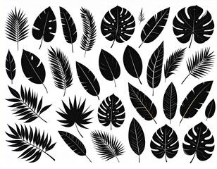 Tropical leaves, palm leaves silhouettes, diverse collection, black shapes, design 