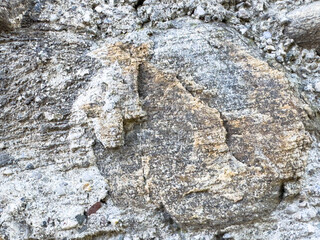Close-up of textured sedimentary rock formation in natural environment