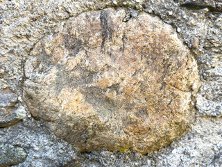 Close-up of weathered rock surface with circular patterns