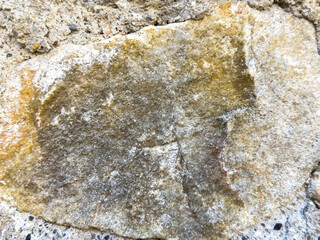 Weathered stone texture with earthy tones and natural patterns