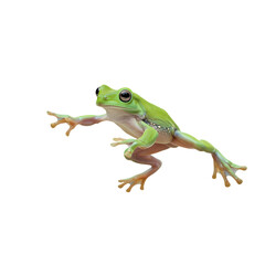 Obraz premium Vibrant green tree frog poised for action, showcasing detailed skin texture and expressive eyes