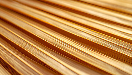 Golden Palm Leaf Texture Close-Up Abstract Natural Pattern with Warm Sunlight Highlights