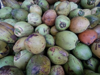 pile of green coconuts that have been harvested