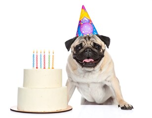 Pug dog with party hat and cake