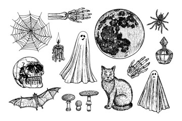 Ghost, bat, spider, witch, moon, mushroom - sketch outline illustrations. Halloween illustrations set. Drawings in engraving style for card, poster, invitation, banner. Hand-drawn vector line art
