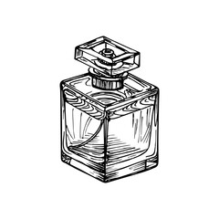 Perfume bottle sketch illustration. Outline drawing in engraving style. Hand-drawn vector line art clipart, isolated