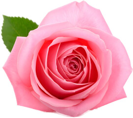 An overhead, close-up view of a single, soft pink rose in full bloom. The image focuses on the symmetrical spiral of the petals and a single green leaf.