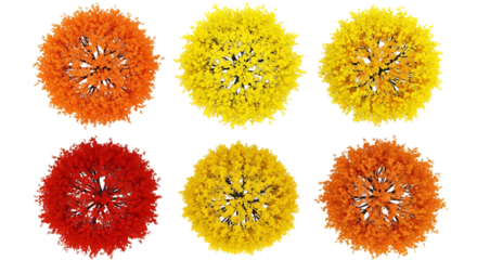 Overhead view of colorful tree isolated on transparent background, showcasing a vibrant collection of orange, yellow, and red foliage in a circular arrangement